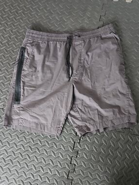 American Eagle Outfitters Men's Gray Athletic Drawstring Shorts